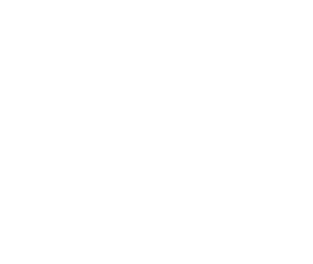 Isarsmile Welle